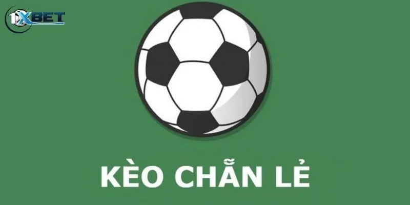 Sự hấp dẫn đến từ kèo chẵn lẻ bóng đá